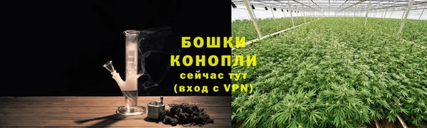 прущая мука Нея