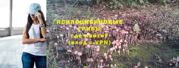mdma Новозыбков