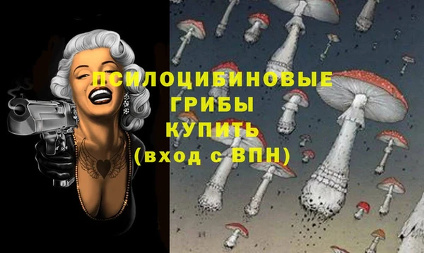 прущая мука Нея