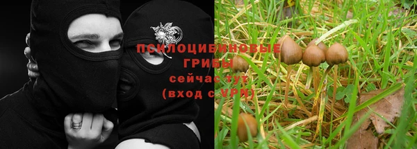 mdma Новозыбков