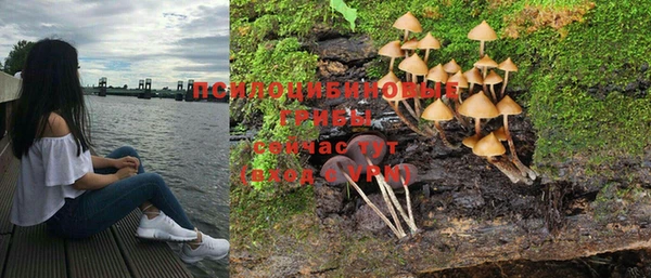 прущая мука Нея