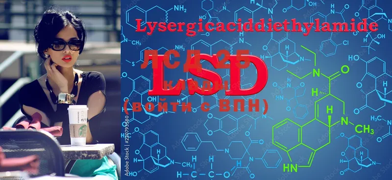 LSD-25 экстази ecstasy  где продают наркотики  Мурино 