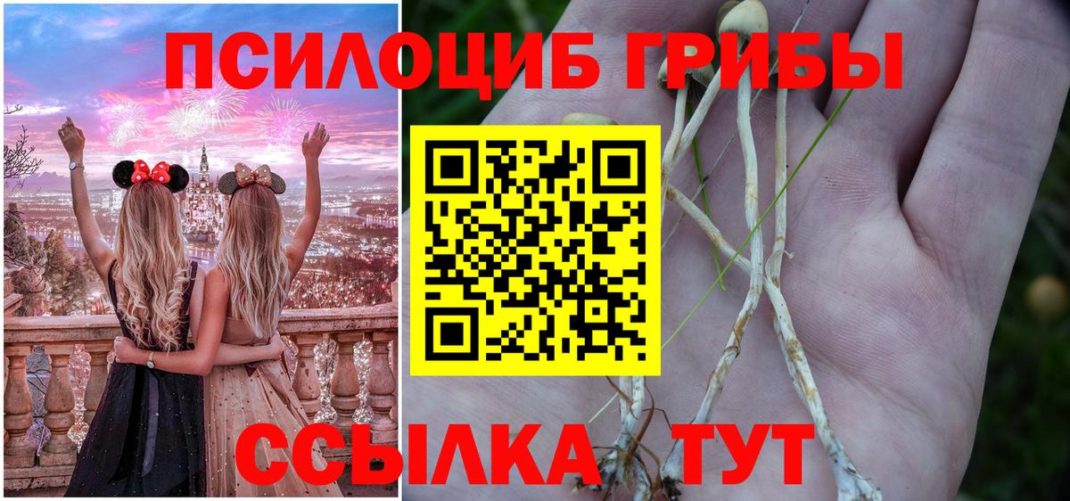 Псилоцибиновые грибы Psilocybe  Мурино 