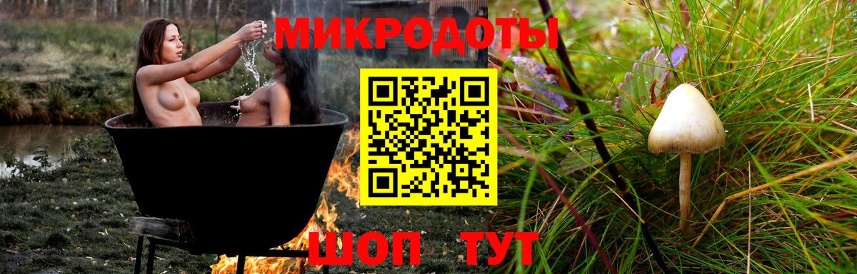 Псилоцибиновые грибы GOLDEN TEACHER Мурино