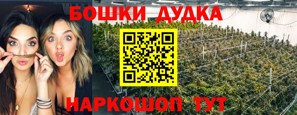 МАРИХУАНА ГИДРОПОН  Шишки марихуана индика  Вход с VPN  Марихуана MAZAR  Мурино  Конопля планчик 